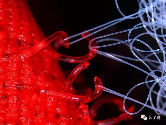 魔術貼如何改變了時尚？